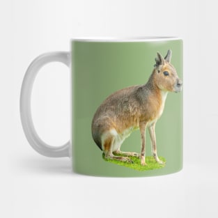 Mara or Patagonian Hare Mug